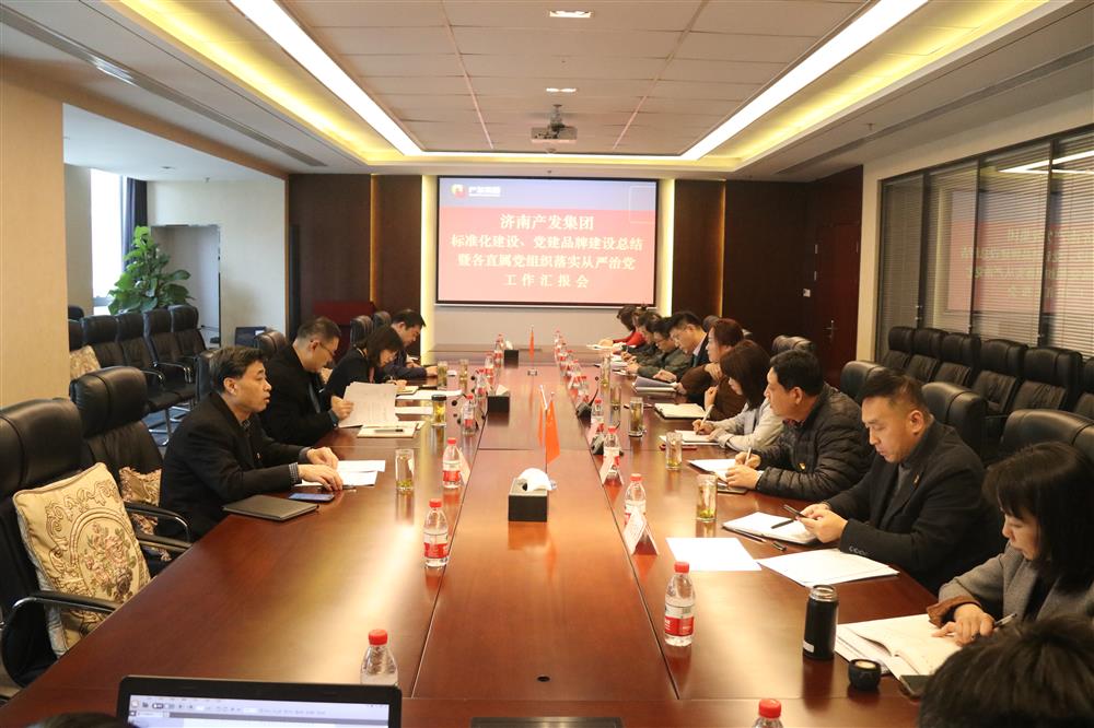 集團黨委召開黨組織標準化建設、 黨建品牌建設活動總結(jié)暨各直屬黨組織落實從嚴治黨工作匯報會議