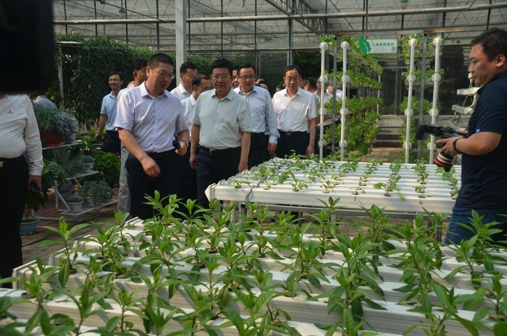 科技助農(nóng)，播撒光的種子  精準(zhǔn)扶貧，助力鄉(xiāng)村振興